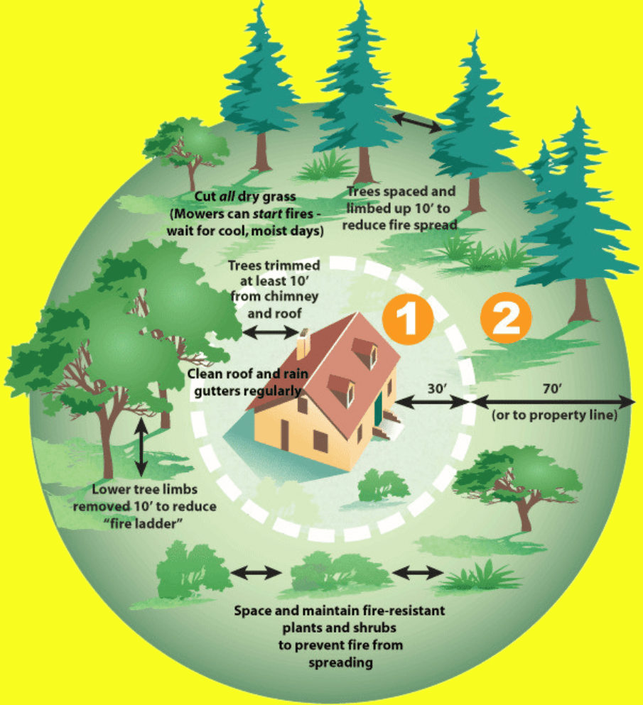 Tree Removal Infographic Tree Removal Infographic